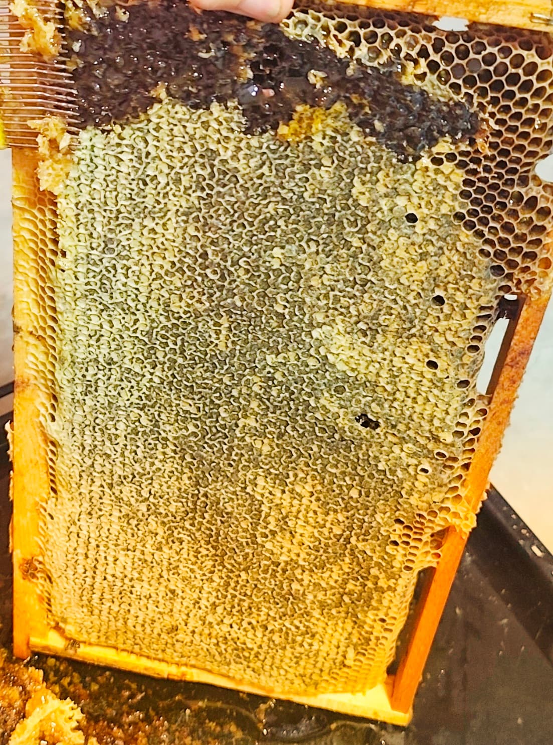 Bletë Mjalt ne Ram, malore, Leshnicë e Epërme